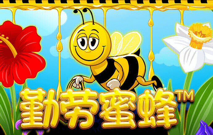 VNS59859威尼斯城